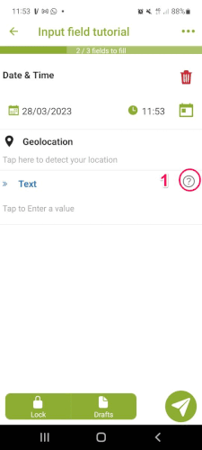 Understanding and using the Input Field